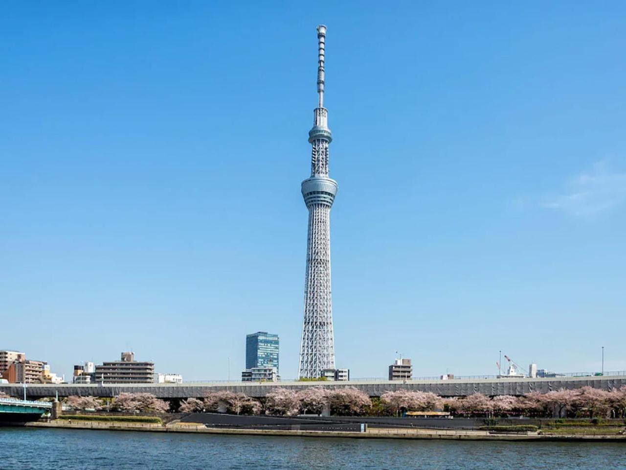 Hotel Cápsula Anshin Oyado Ogikubo Tóquio